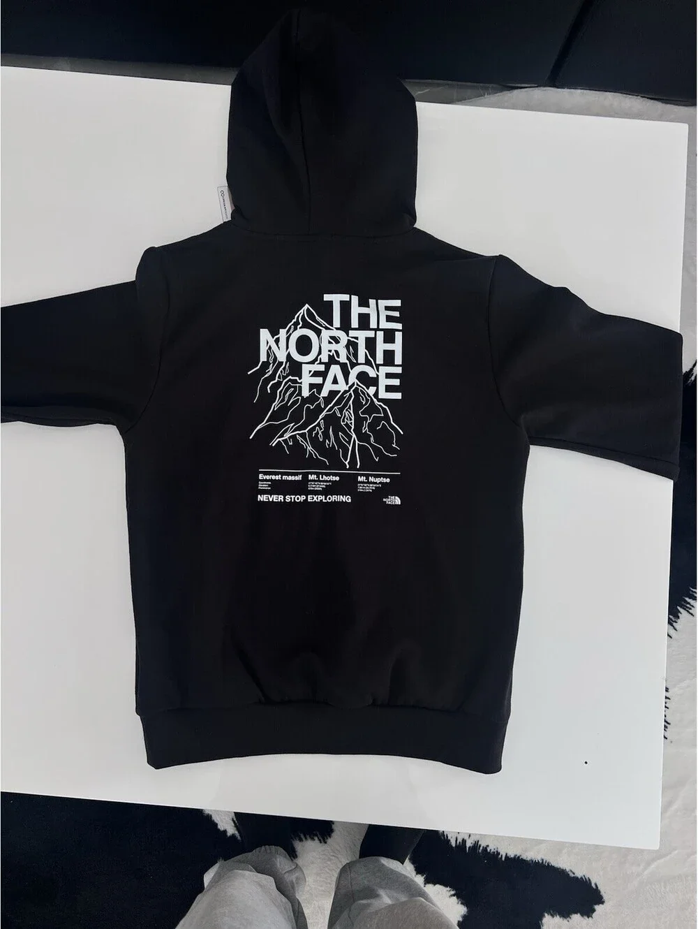 The North Face Small Men's Evo half dome Everest Pullover Hoodie NF0A8FNFJK3